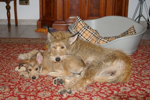 Livie mit ihrer Tochter Cinnia