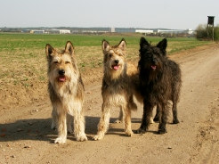 Livie mit Filou und Ivo