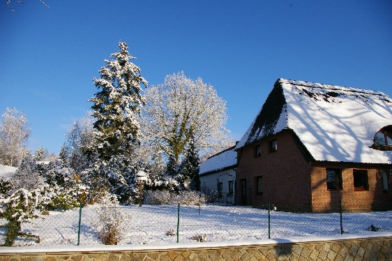 Winter 2008
